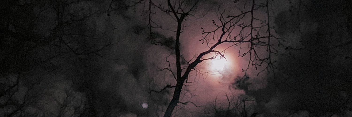 MyaGatess's profile banner image