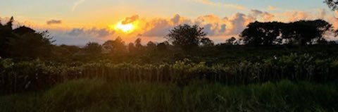 johnbean304's profile banner image