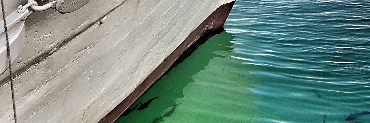 anne sophie lamon-mo banner