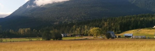 LynnBryan Profile Banner