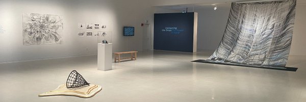 Zuccaire Gallery Profile Banner