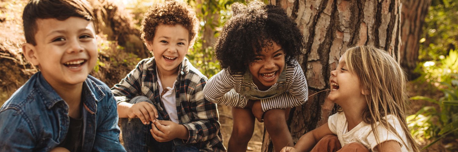 Rocky View Schools banner