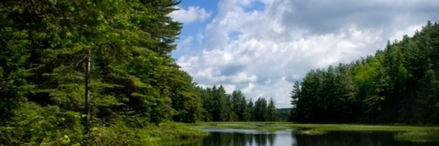 RevCSchmalz's profile banner image