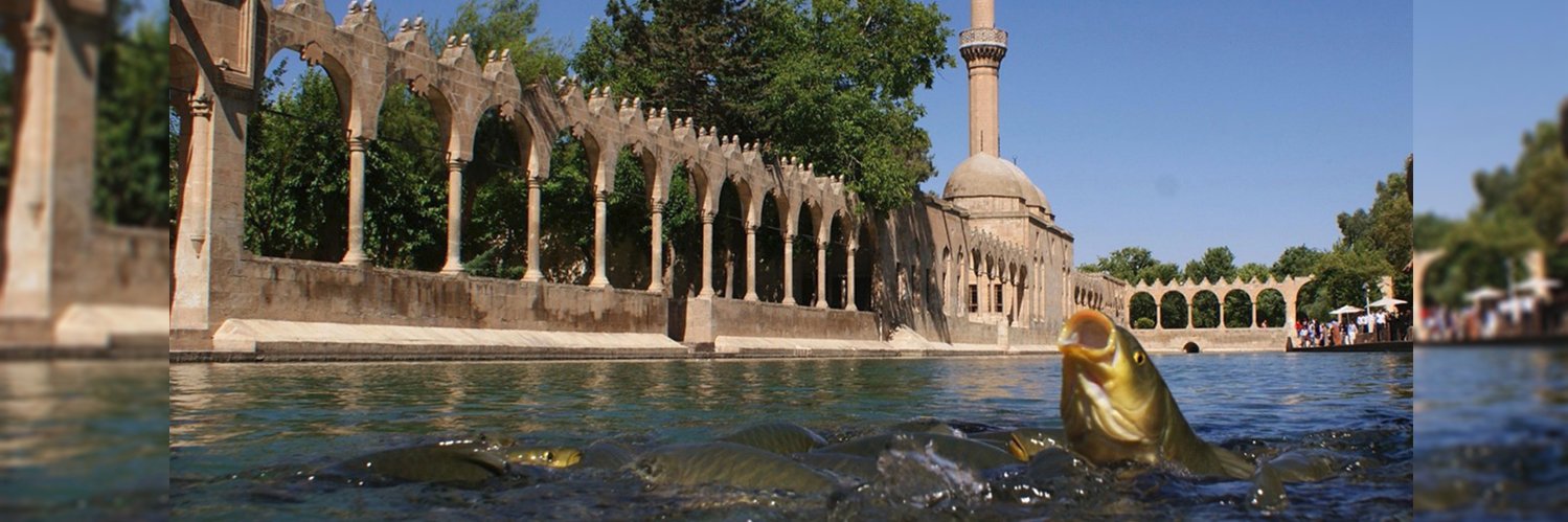 ŞUSKİ GM 🇹🇷 banner