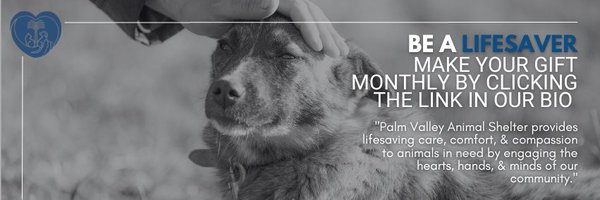 pvastx Profile Banner