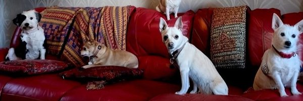 fentonkaron Profile Banner