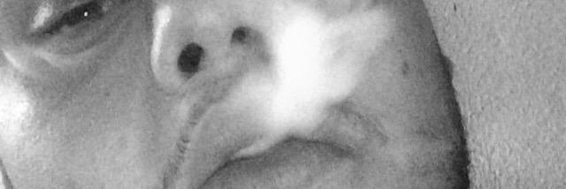marlena3500's profile banner image