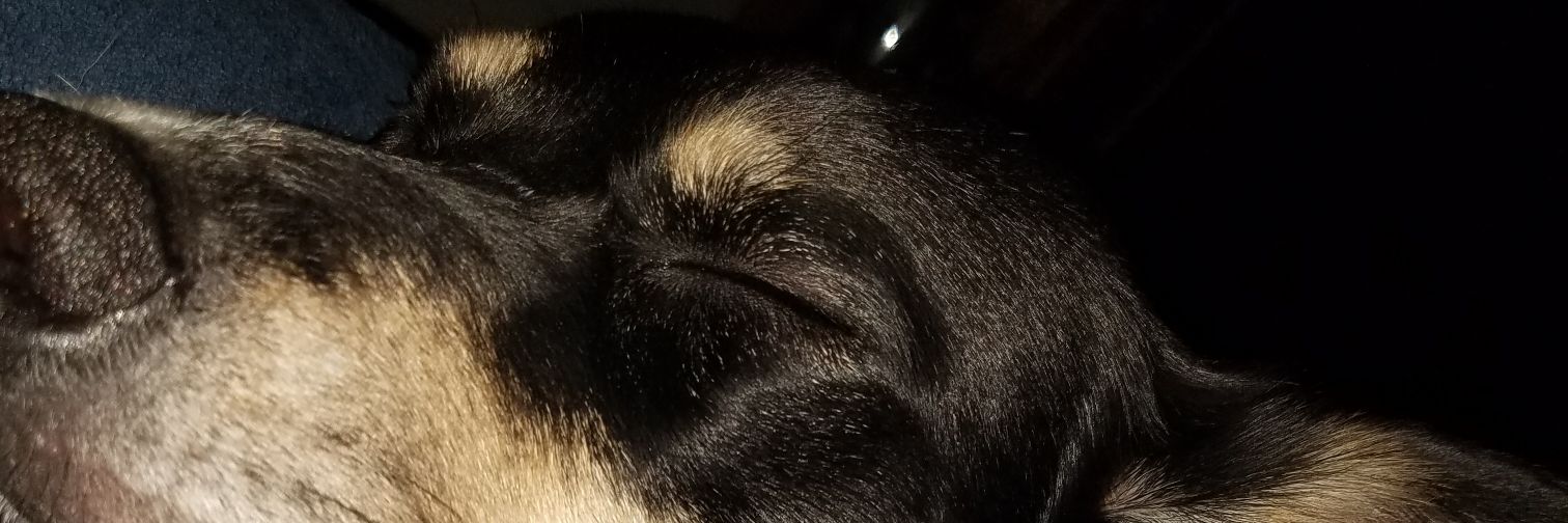 Official_GCat's profile banner image