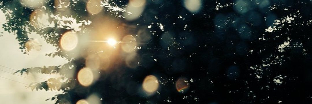 bi_glfr's profile banner image