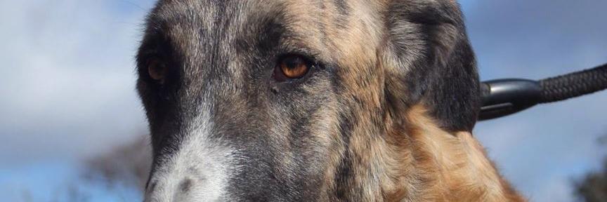 QuecaGR's profile banner image