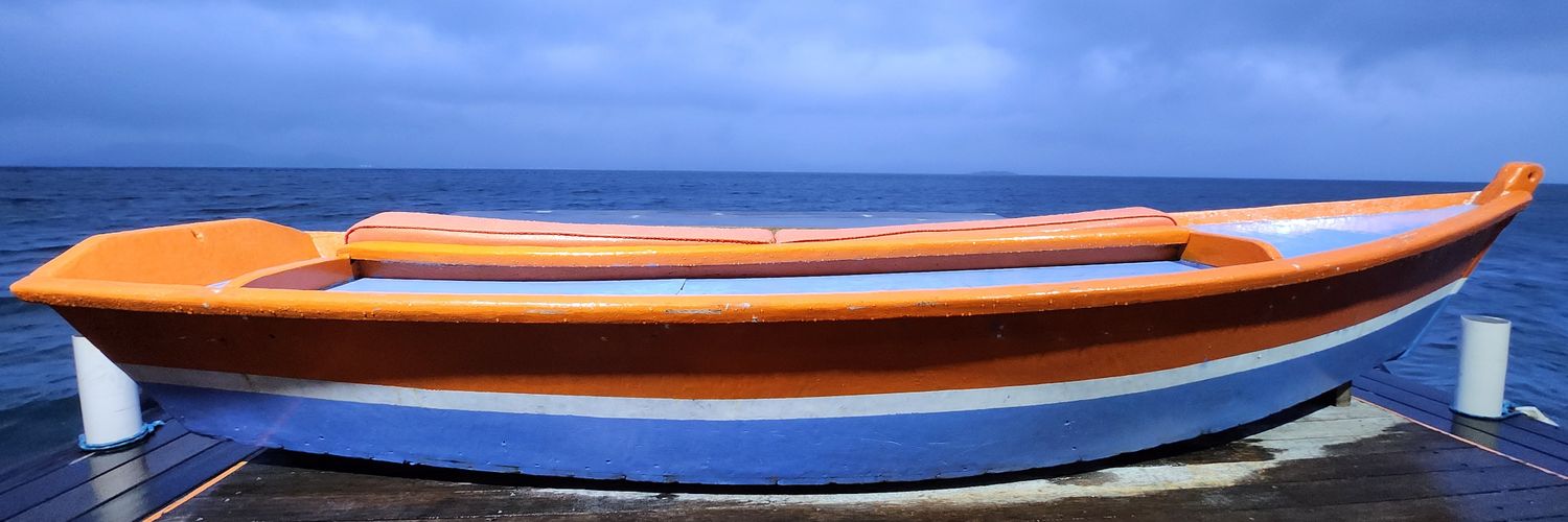 rodrigoteixpsi's profile banner image