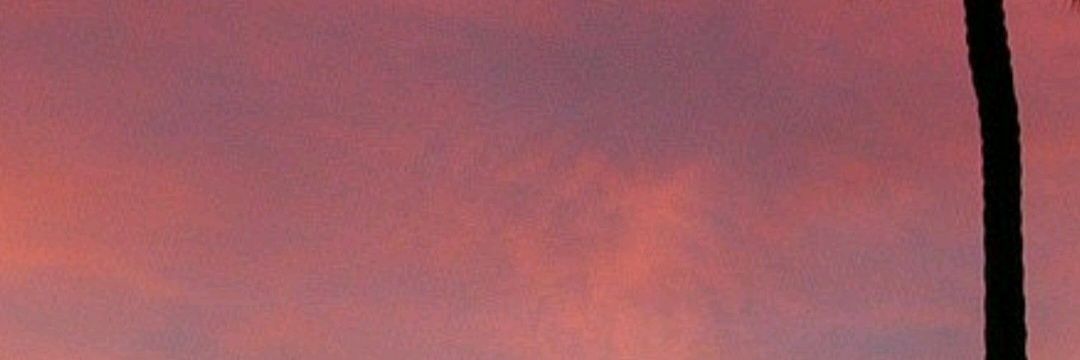 SofiaOG_'s profile banner image