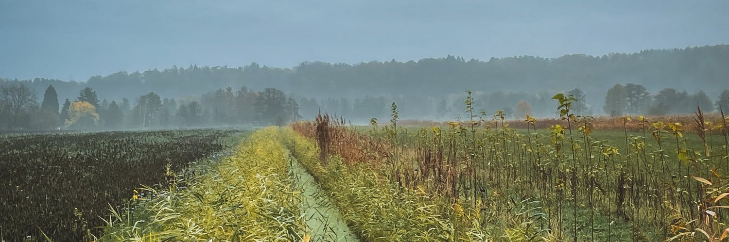 Patricia Escalada💢 banner