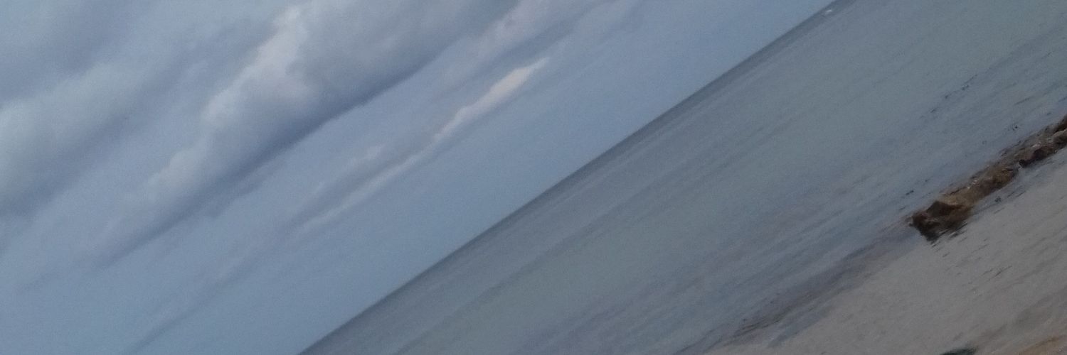 Amy__Moffat's profile banner image