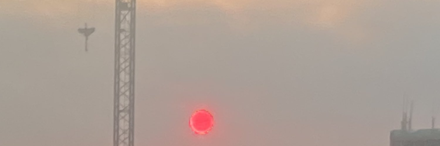 Pedro banner