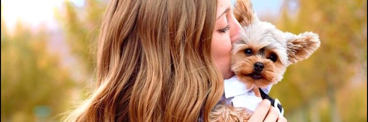kenziebeardall's profile banner image