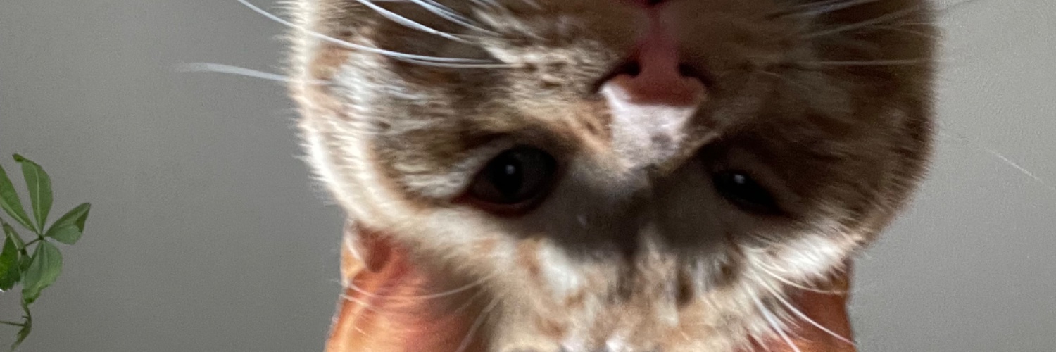 Brianne_esque's profile banner image