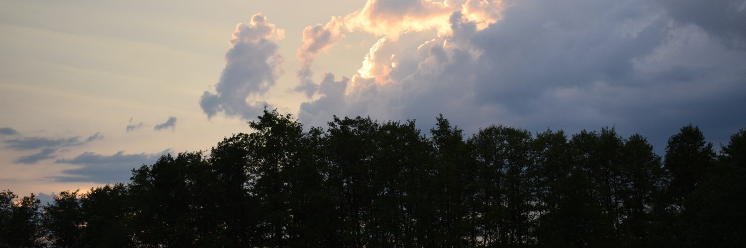 Hikolrixer's profile banner image