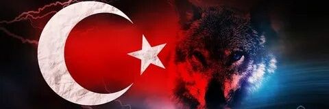 TOLGA banner