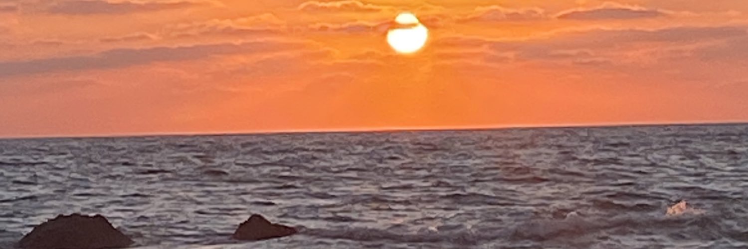 isabelalonsoga1's profile banner image
