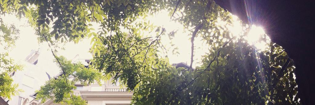 TheodoreT's profile banner image