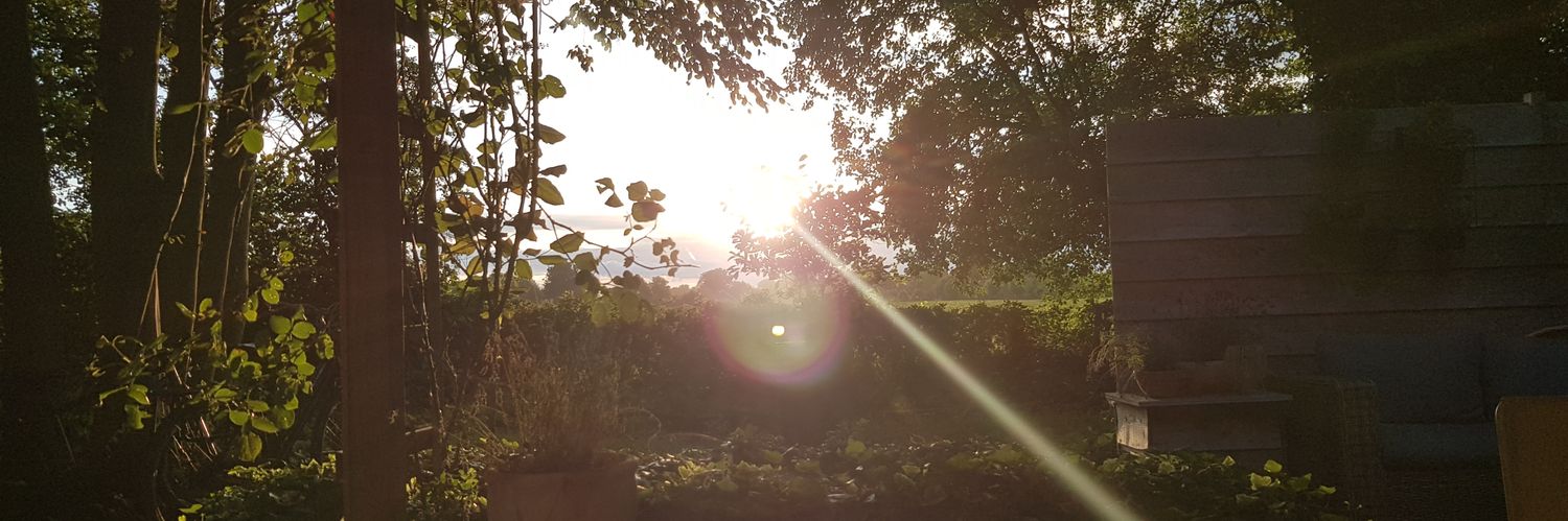SusanneTerWal's profile banner image
