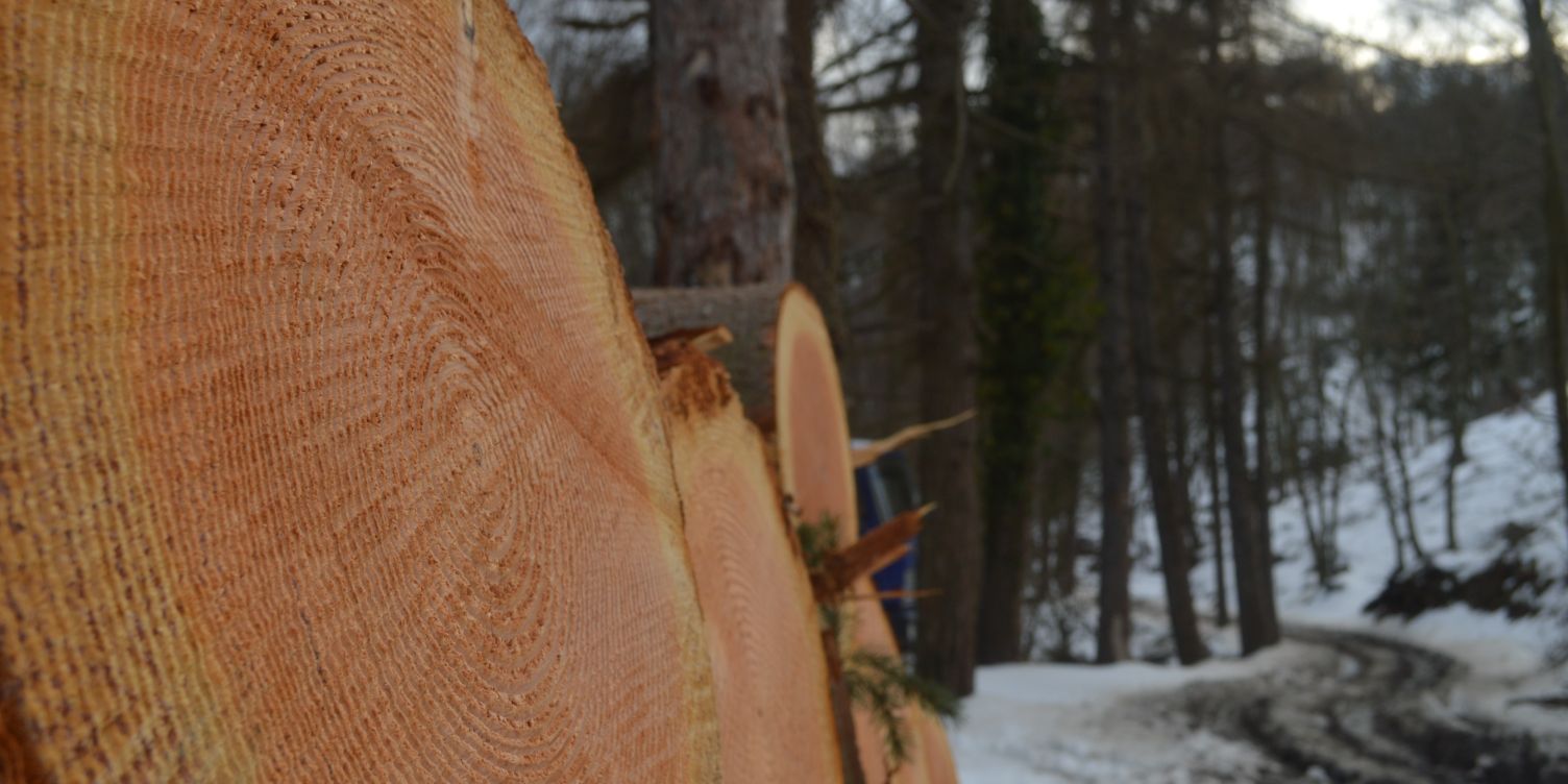 NicssGrivass's profile banner image
