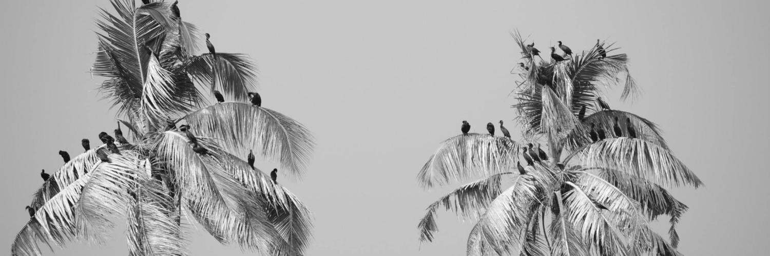 therealAVerma's profile banner image