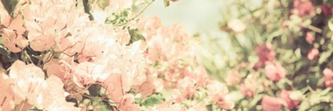 Vickyz57's profile banner image