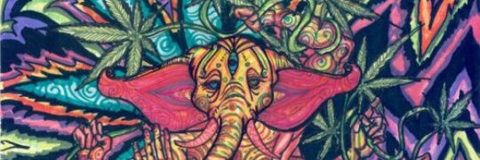 Estvez98's profile banner image