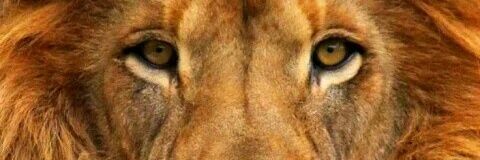 GloriousUgoo's profile banner image