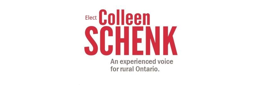 2014colleen's profile banner image