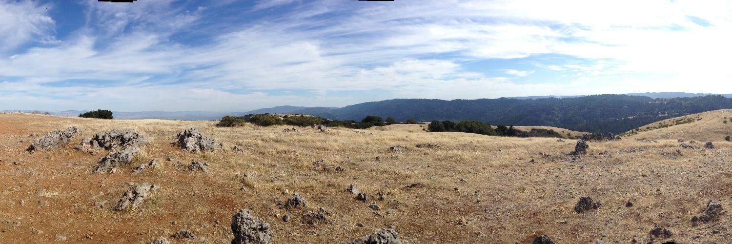 Neela Jacques banner