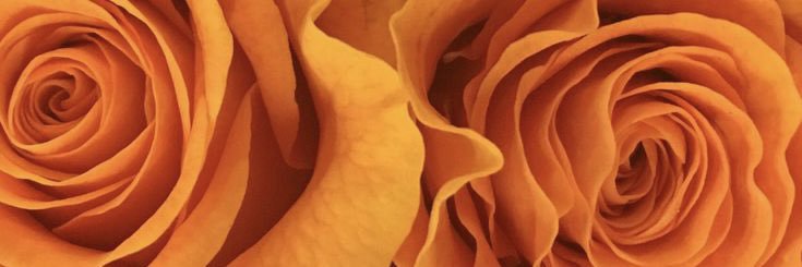 Dezs___'s profile banner image