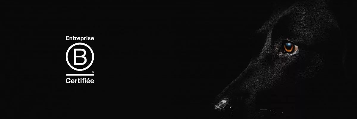 Laurence Delwaide banner