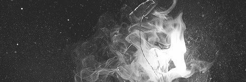 aribonopla's profile banner image