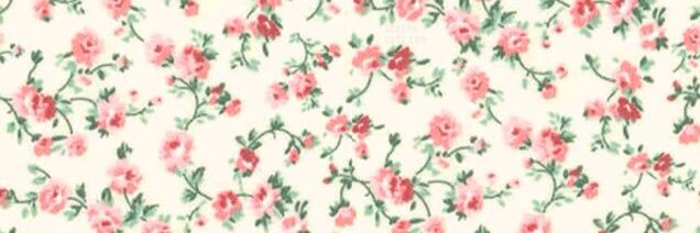 FLORECITAZULL's profile banner image