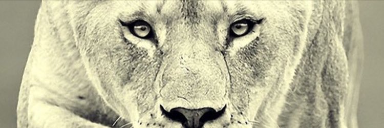 glazious1's profile banner image