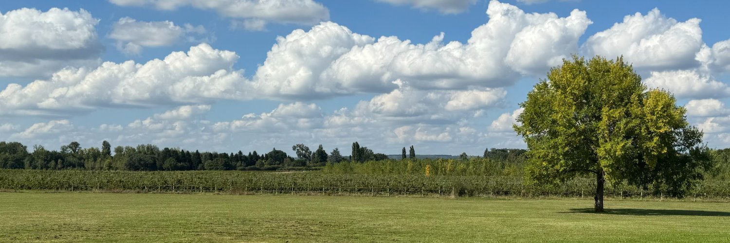 Laird Marynick banner