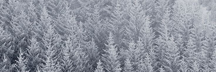 Sarahj89's profile banner image
