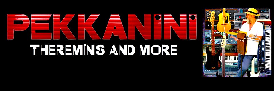 Pekkanini's profile banner image