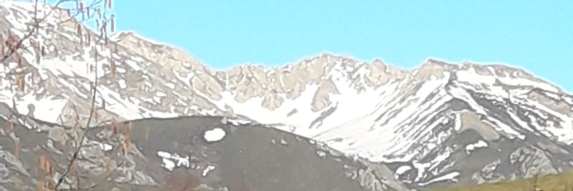 SAR_2011's profile banner image