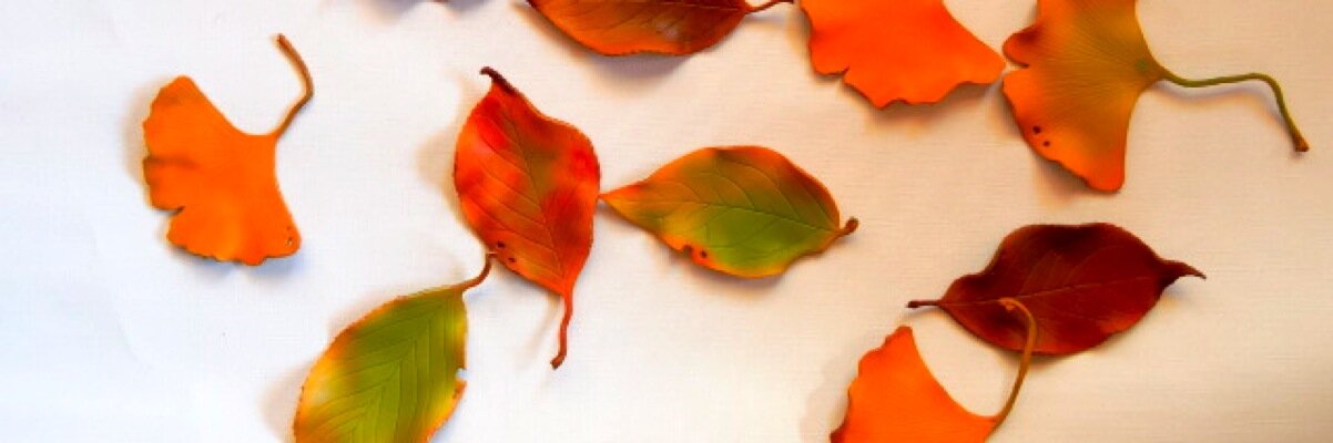 ヒノホ【デザフェスＰ-154】 banner