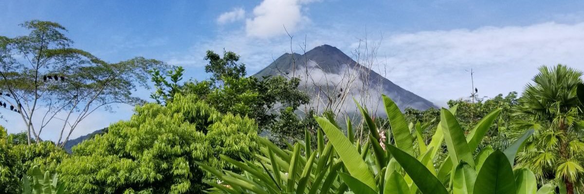 MsFiorenza's profile banner image