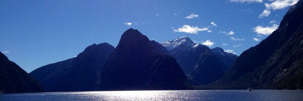 ariel_oseran Profile Banner