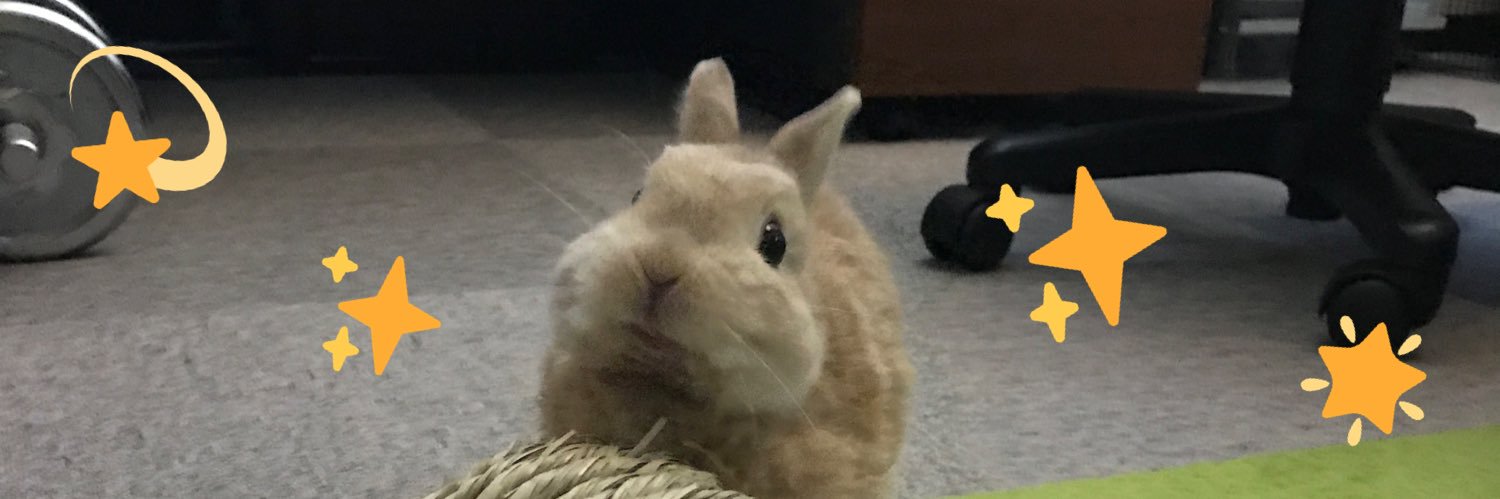 くろいうさぎたち🐰's banner