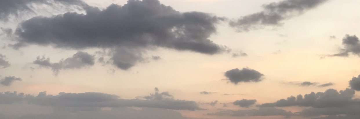 clouisedd's profile banner image