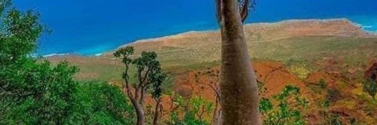 quitgsg's profile banner image
