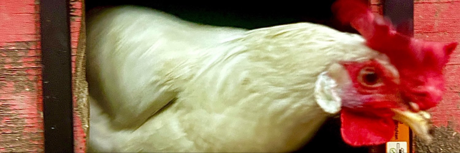 GoodMilkshake's profile banner image