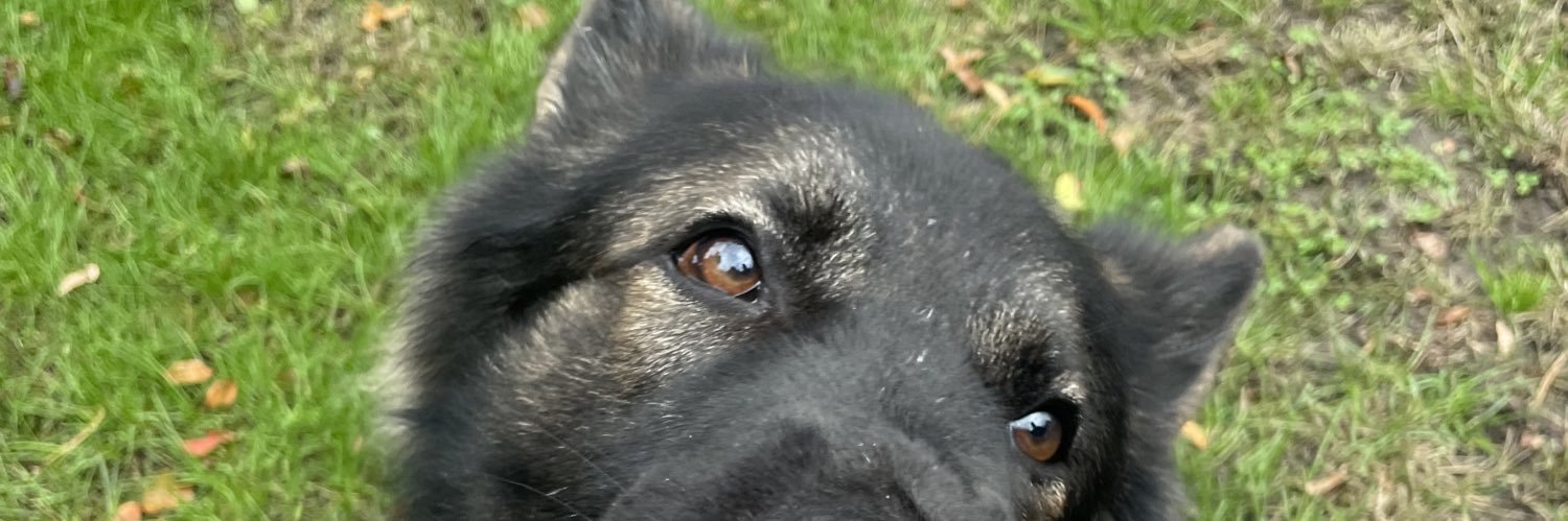 laurenburson00's profile banner image